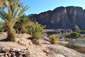 Oase bei Ouarzazate