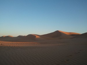 Wüstentour südlich von Mhamid - auf Anfrage